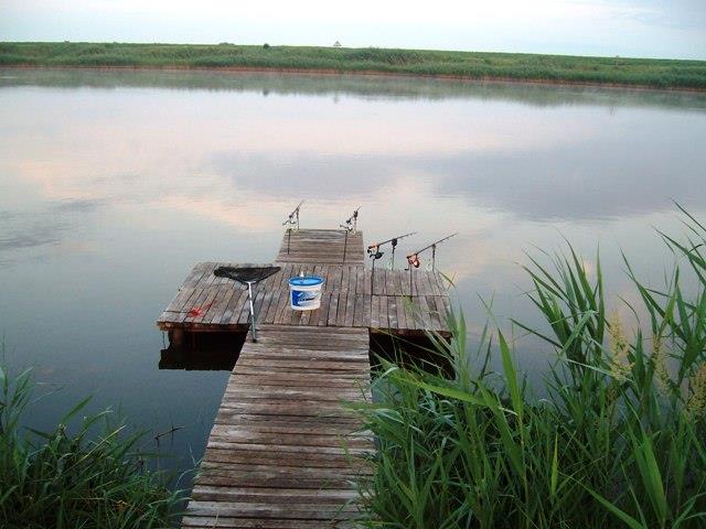 Doar ... NATURA - 4 - sany0849.JPG